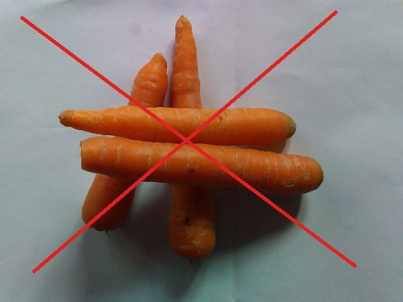Keine Karotten bei ehemalien Hufrehepferden